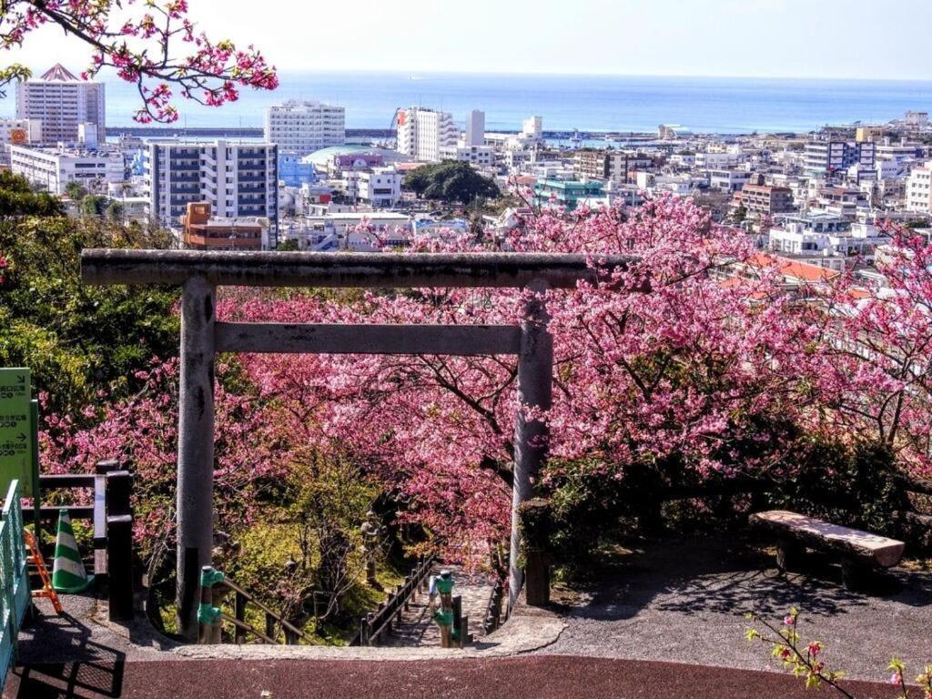 Mizunowa B035 Villa Nago Exterior foto